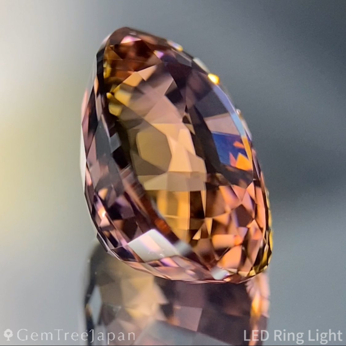 【Nori's Gem】Parti-Color Tourmaline 5.452ct / Brazil