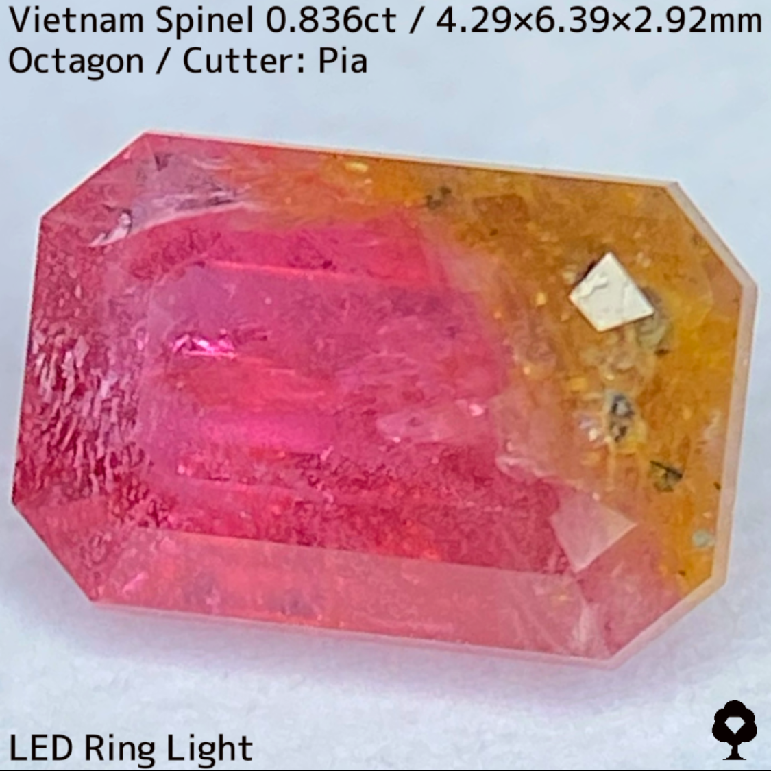 Spinel 0.836ct / Vietnam