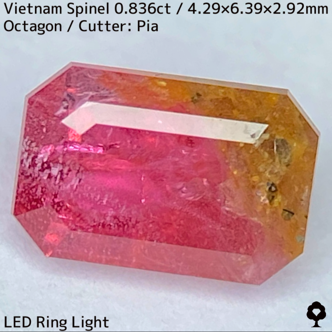 Spinel 0.836ct / Vietnam