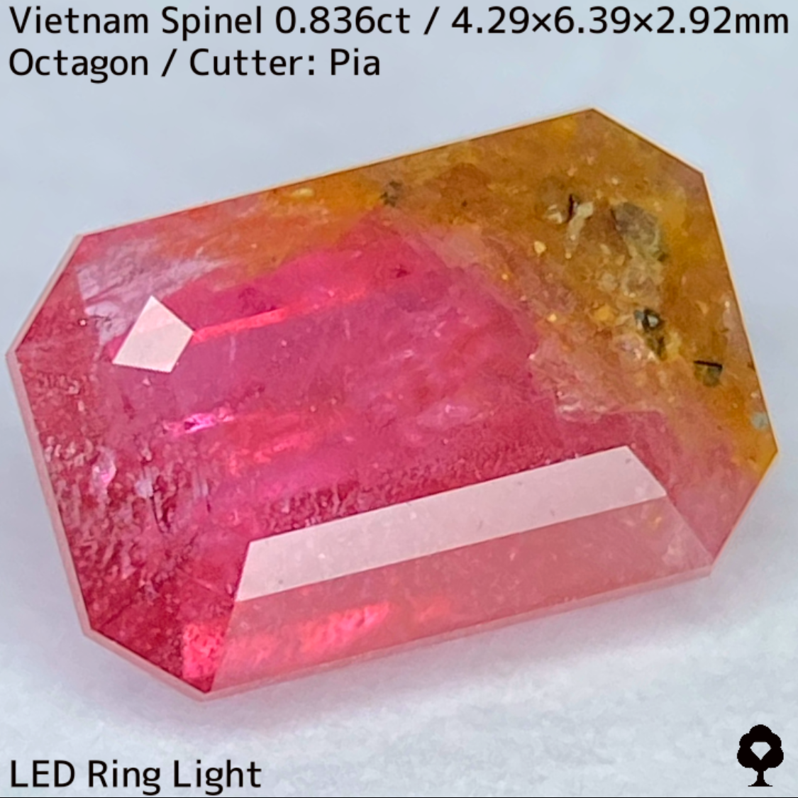 Spinel 0.836ct / Vietnam