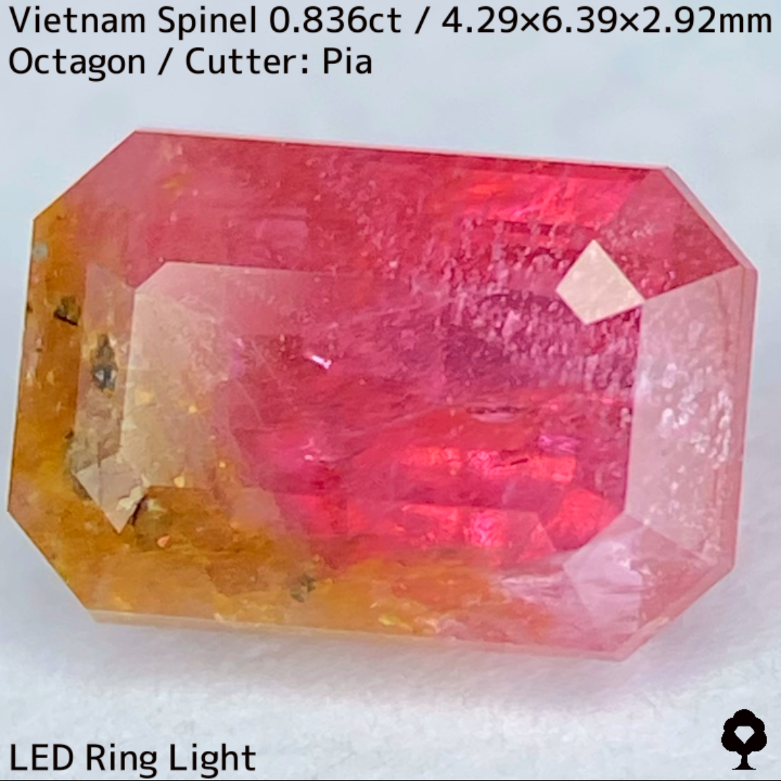 Spinel 0.836ct / Vietnam