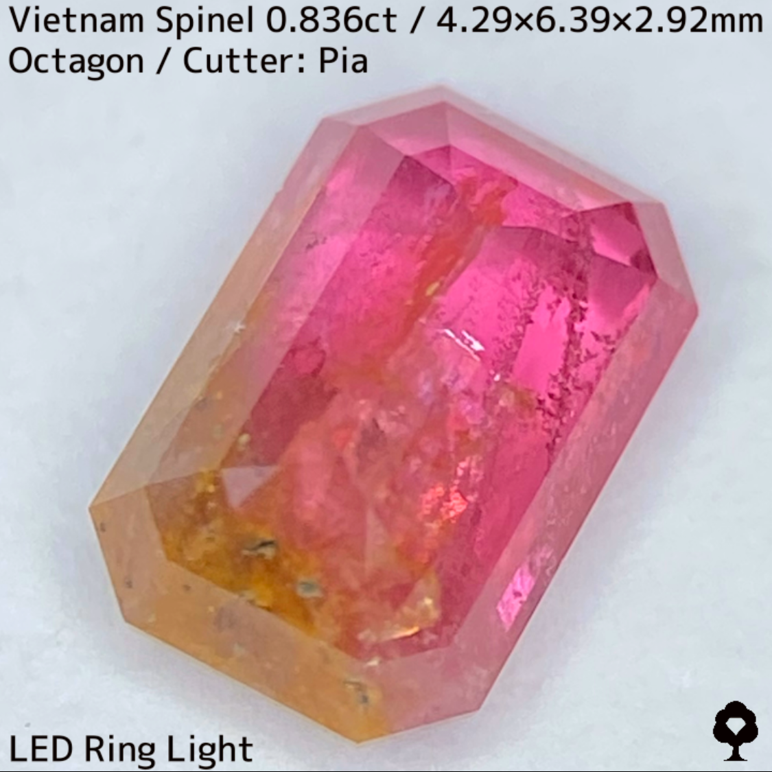 Spinel 0.836ct / Vietnam