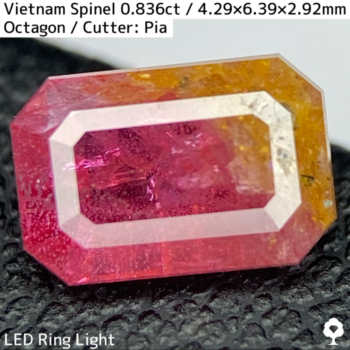 Spinel 0.836ct / Vietnam