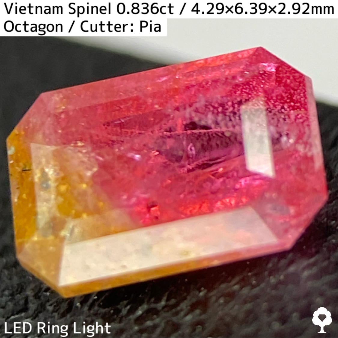 Spinel 0.836ct / Vietnam
