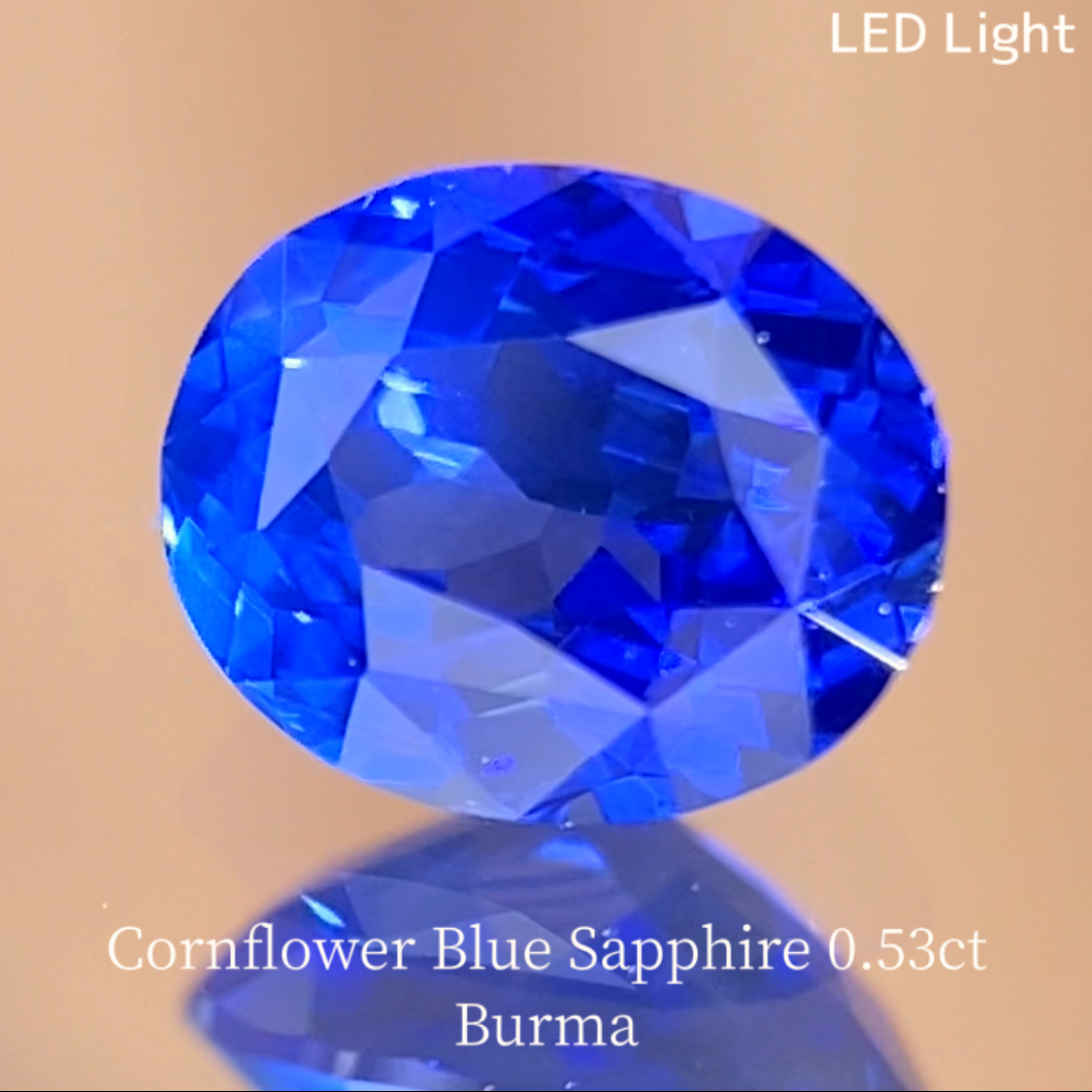 Cornflower Blue Sapphire 0.530ct / Burma