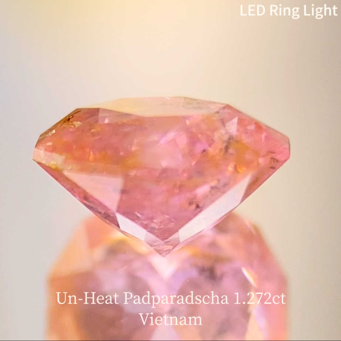 Un-Heat Padparadscha Sapphire 1.272ct / Vietnam