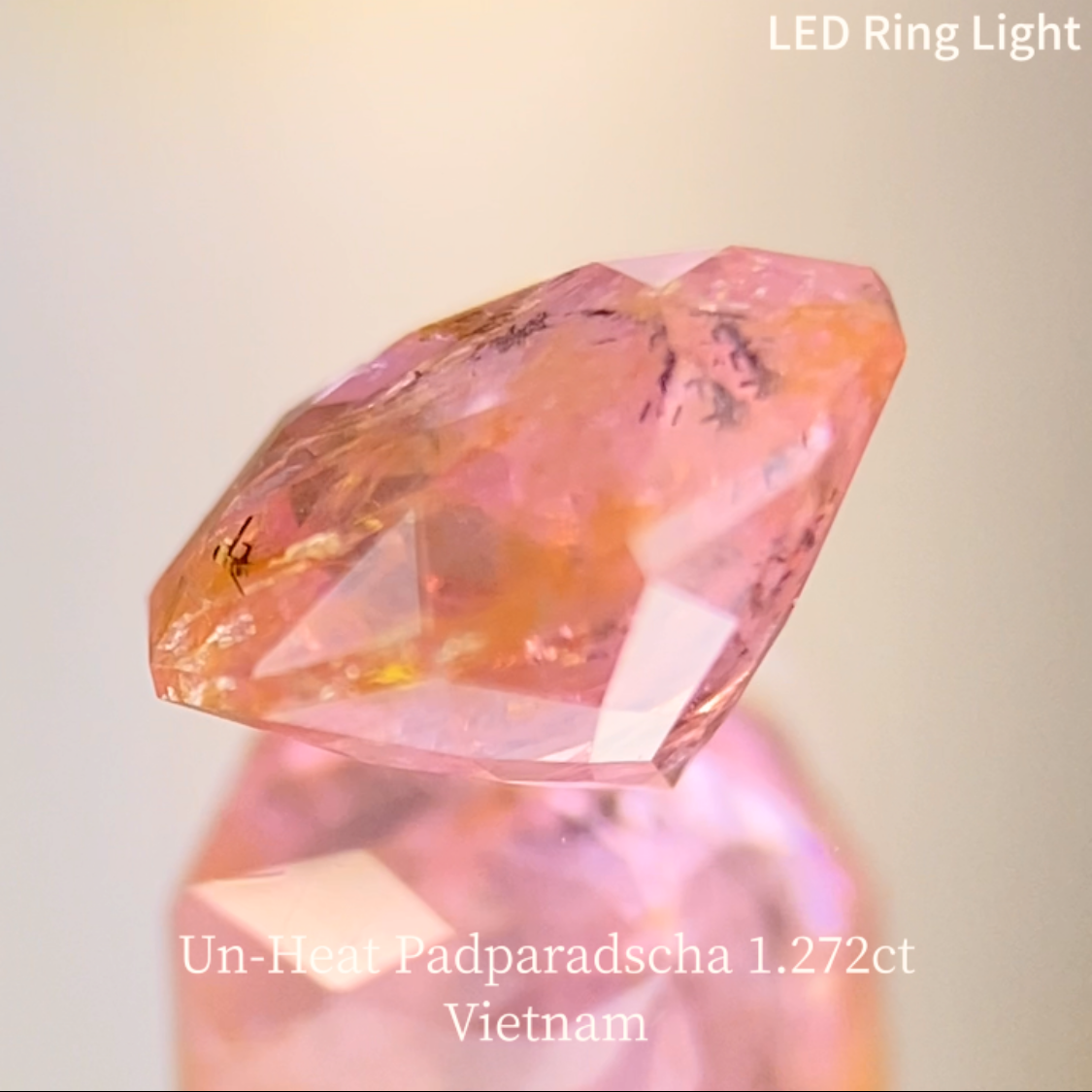 Un-Heat Padparadscha Sapphire 1.272ct / Vietnam