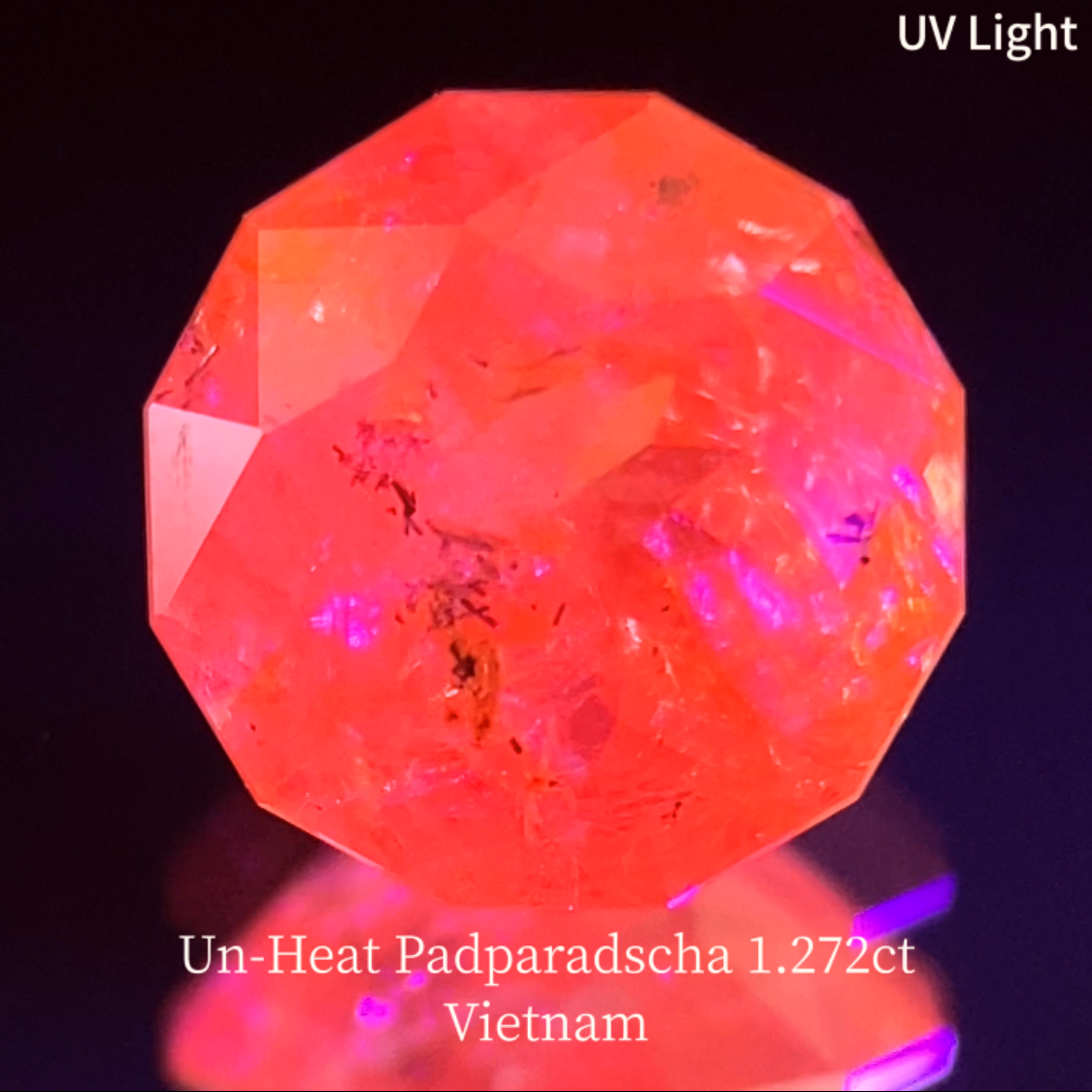 Un-Heat Padparadscha Sapphire 1.272ct / Vietnam