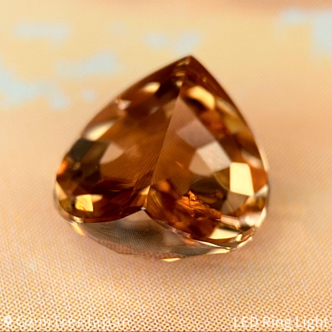 "Golden Lens Eye" Zircon 2.790ct / Tanzania