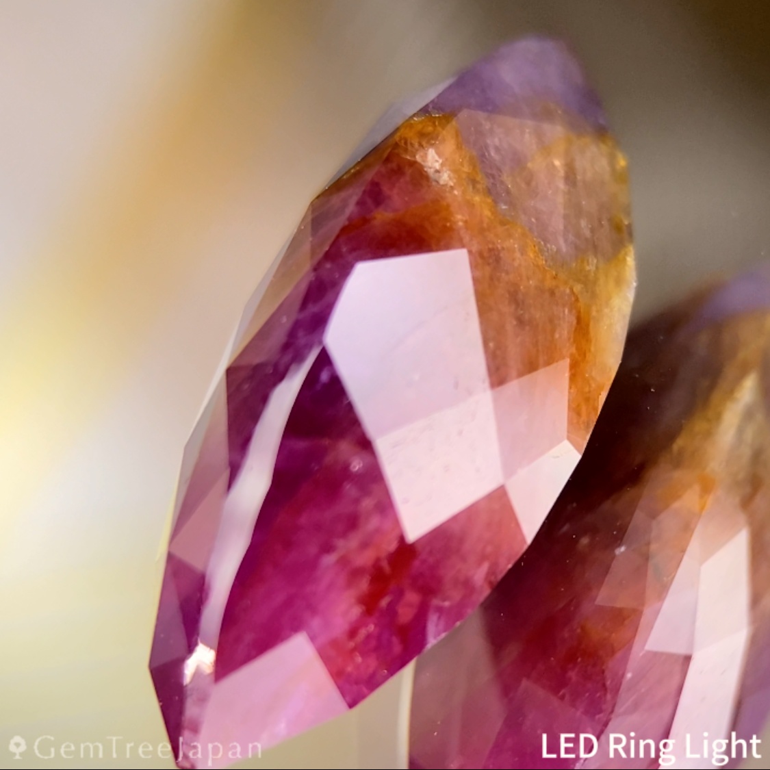 【20万円以上のお買物で無料に】Un-Heat Parti-Color Corundum 9.275ct / Ruby & Sapphire / Vietnam