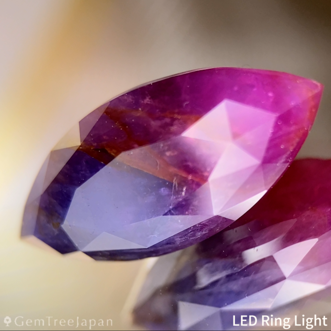 【20万円以上のお買物で無料に】Un-Heat Parti-Color Corundum 9.275ct / Ruby & Sapphire / Vietnam