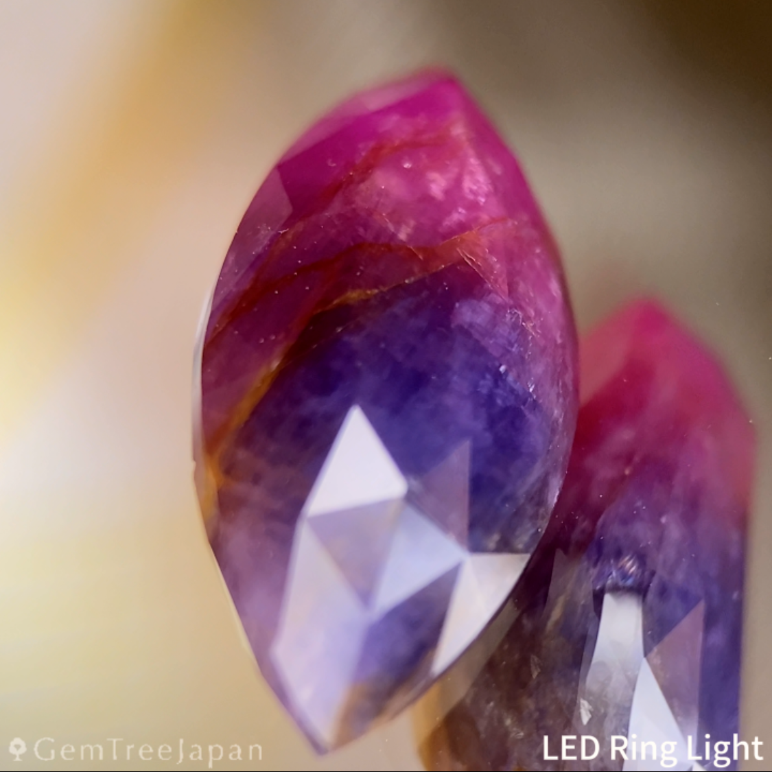 【20万円以上のお買物で無料に】Un-Heat Parti-Color Corundum 9.275ct / Ruby & Sapphire / Vietnam