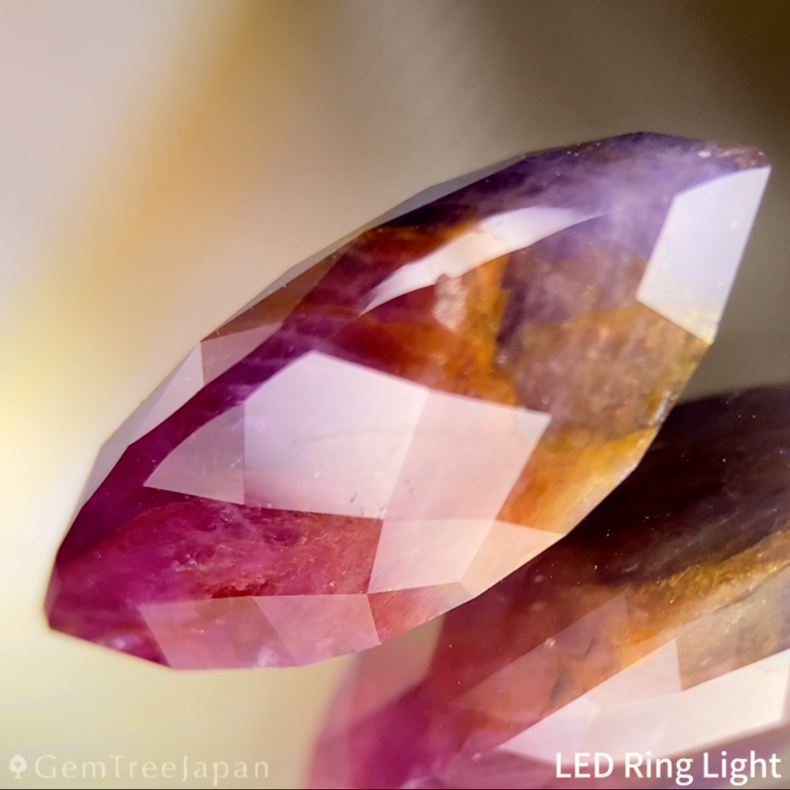 【20万円以上のお買物で無料に】Un-Heat Parti-Color Corundum 9.275ct / Ruby & Sapphire / Vietnam
