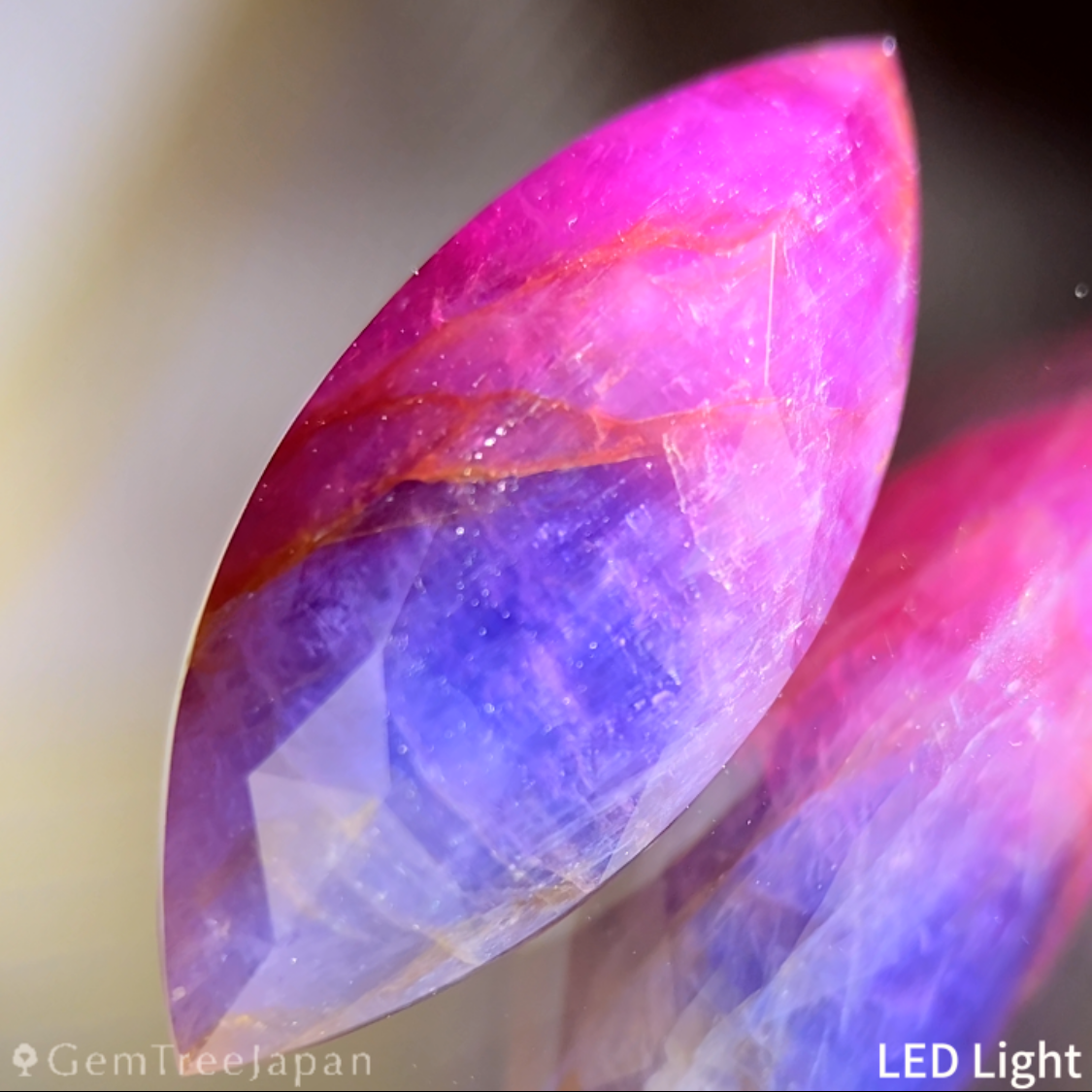 【20万円以上のお買物で無料に】Un-Heat Parti-Color Corundum 9.275ct / Ruby & Sapphire / Vietnam