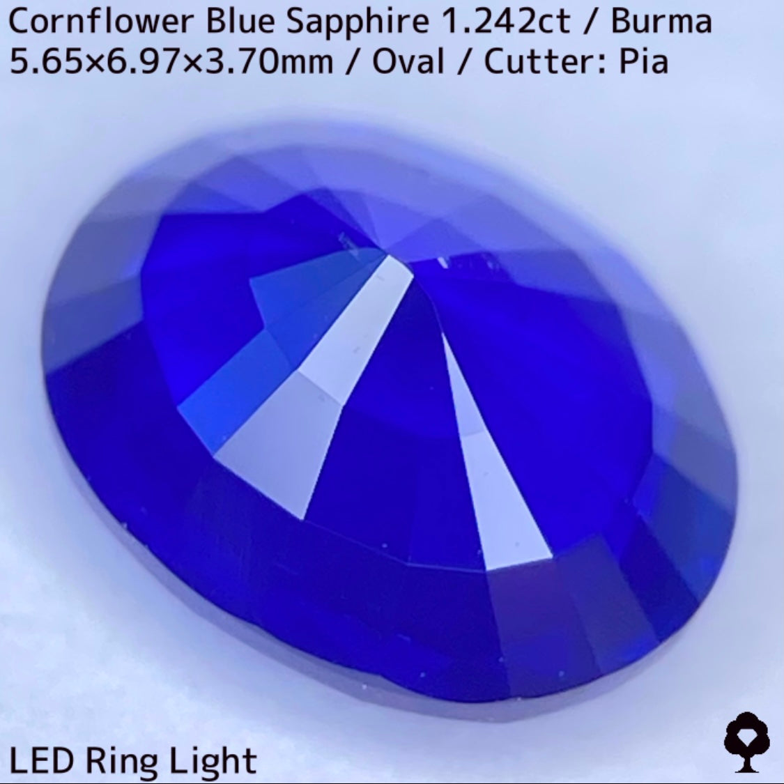 CornFlowerBlue Sapphire 1.242ct / Burma