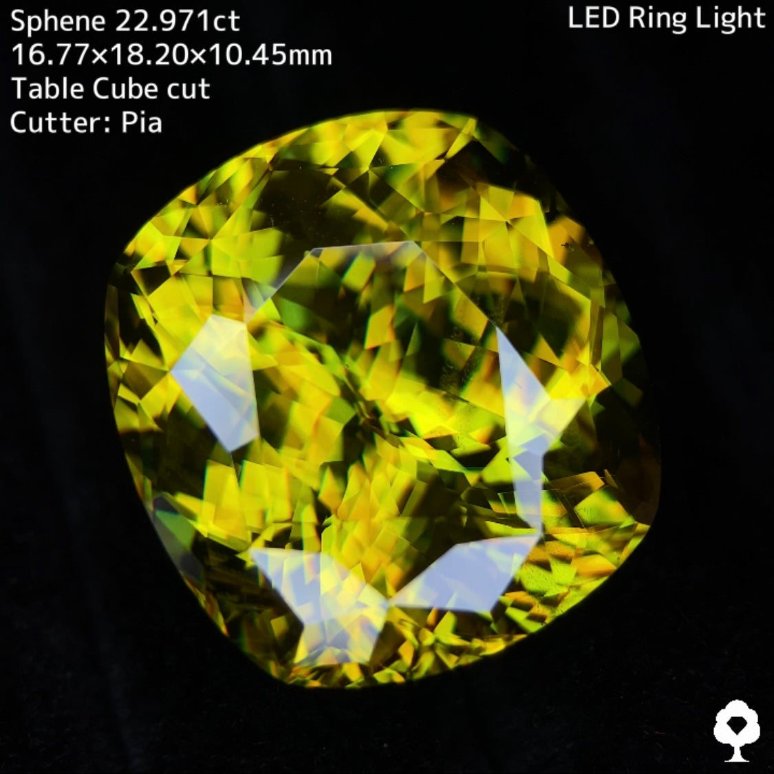 Sphene 22.971ct / Madagascar