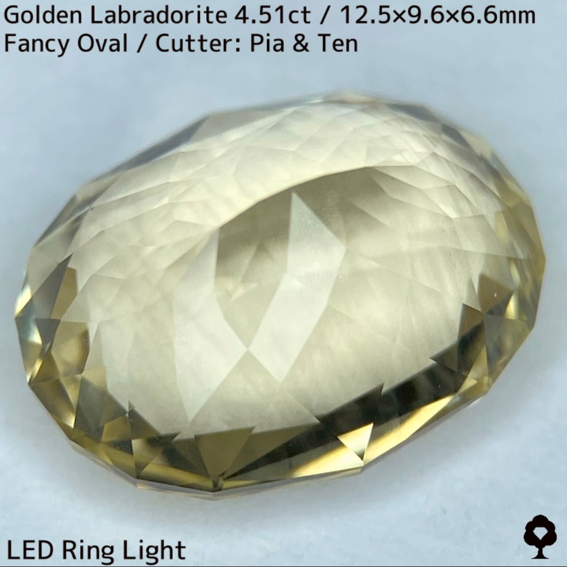 Golden Labradorite 4.51ct★A noble champagne gold with a tiger-like shredded Schiller created from rough stones★Comes with rough stones from the same lot