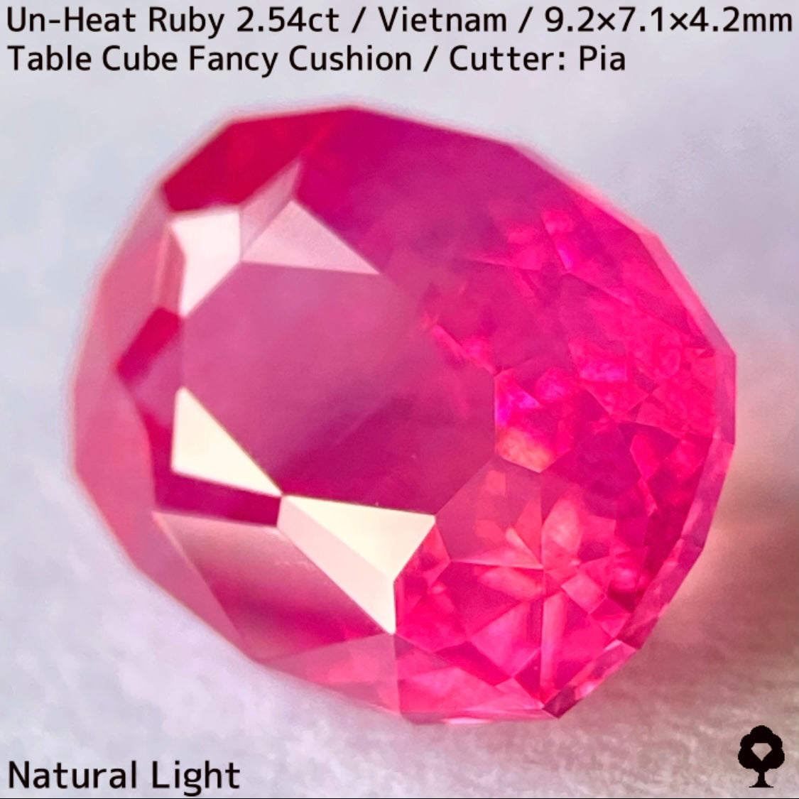 [Ruby Focus] Un-Heat Ruby 2.54ct / Vietnam