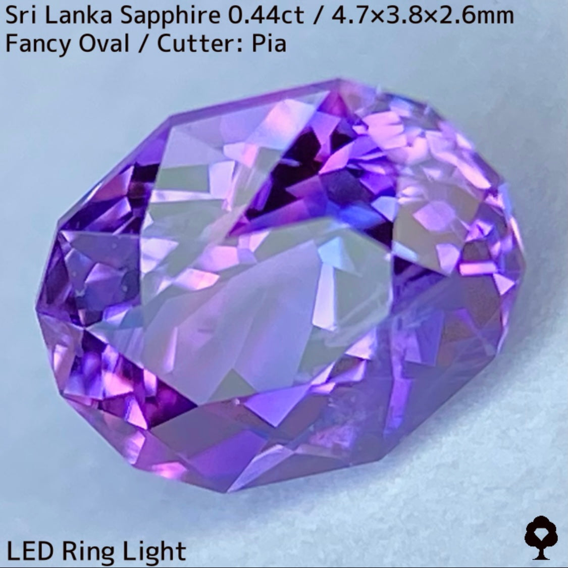 [For the successful bidder only] Sri Lankan sapphire 0.44ct ★ 2024.1.14 GTJ Founding Anniversary Chat Auction