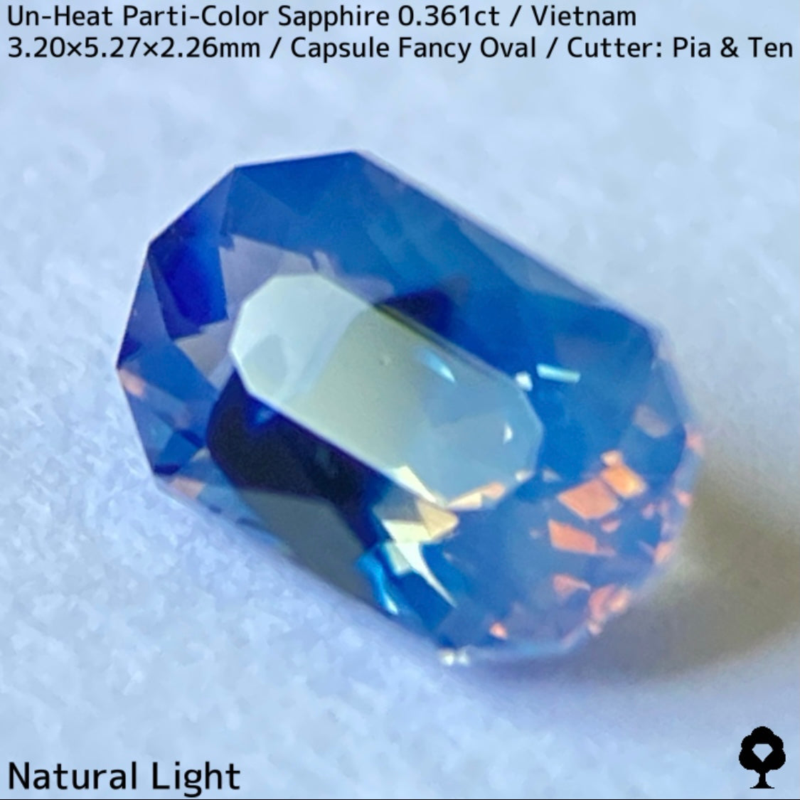 [For the Winner Only] Unheated Parti-Color Sapphire from Vietnam 0.361ct