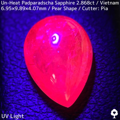 Un-Heat Padparadscha Sapphire 2.868ct / Vietnam