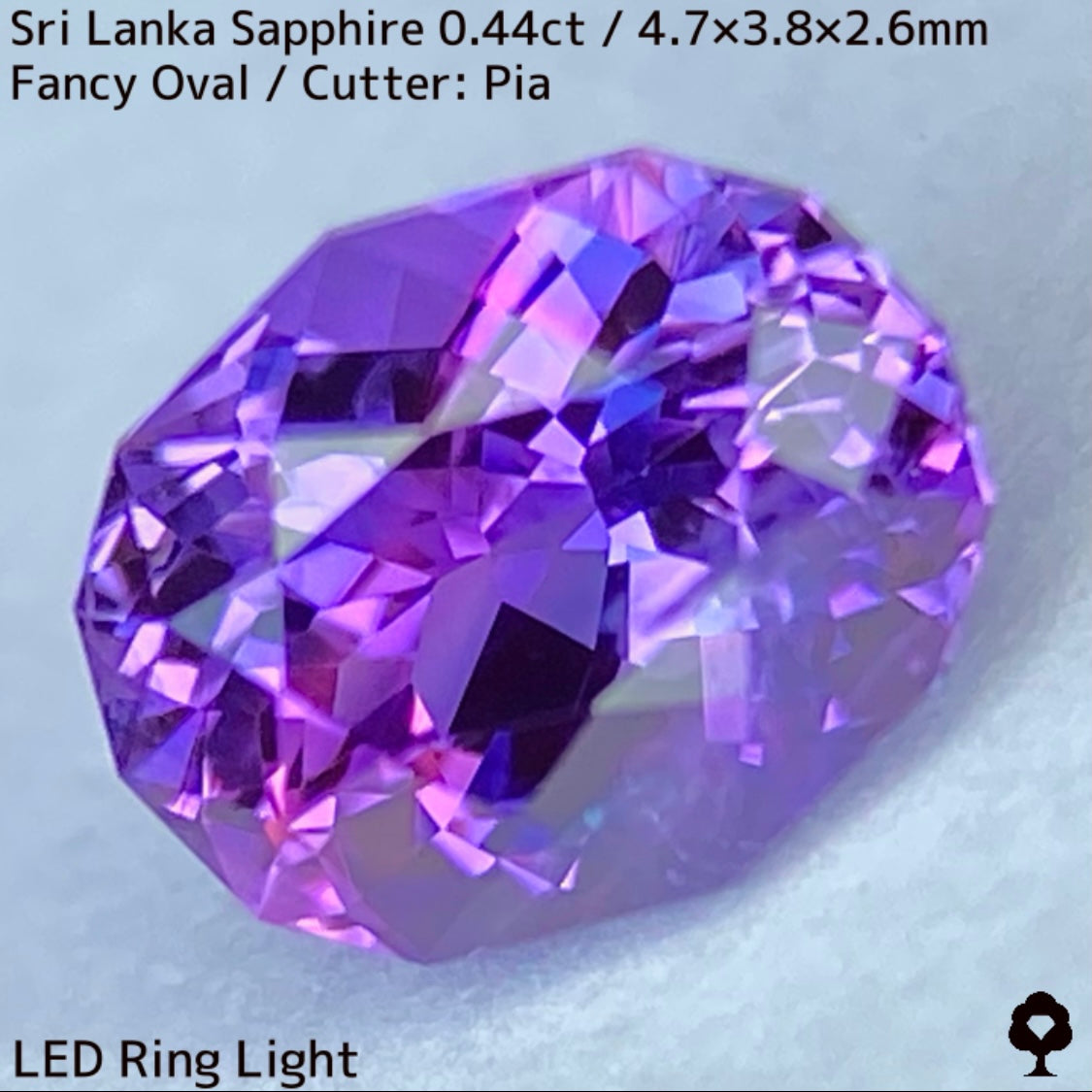 [For the successful bidder only] Sri Lankan sapphire 0.44ct ★ 2024.1.14 GTJ Founding Anniversary Chat Auction