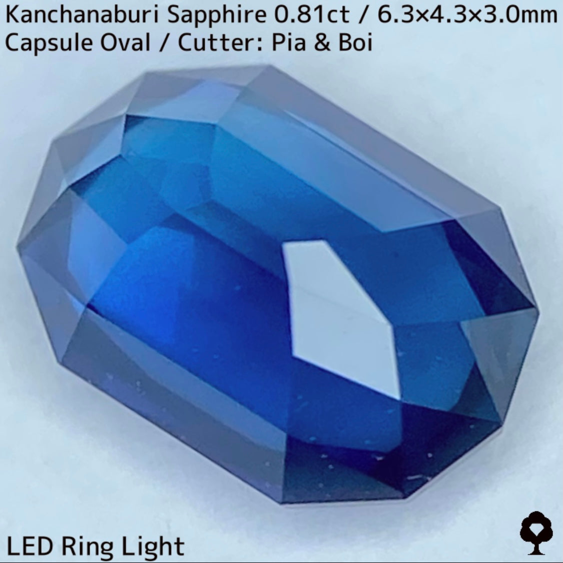 カンチャナブリー産サファイア0.81ct★シルキーブルーのグラデーションがたまらないカプセルカット