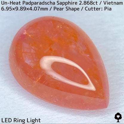 Un-Heat Padparadscha Sapphire 2.868ct / Vietnam