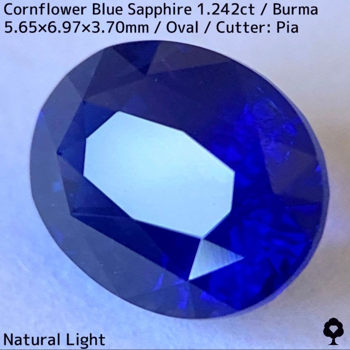 CornFlowerBlue Sapphire 1.242ct / Burma