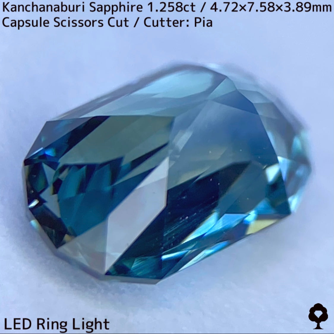 Kanchanaburi Sapphire 1.258ct