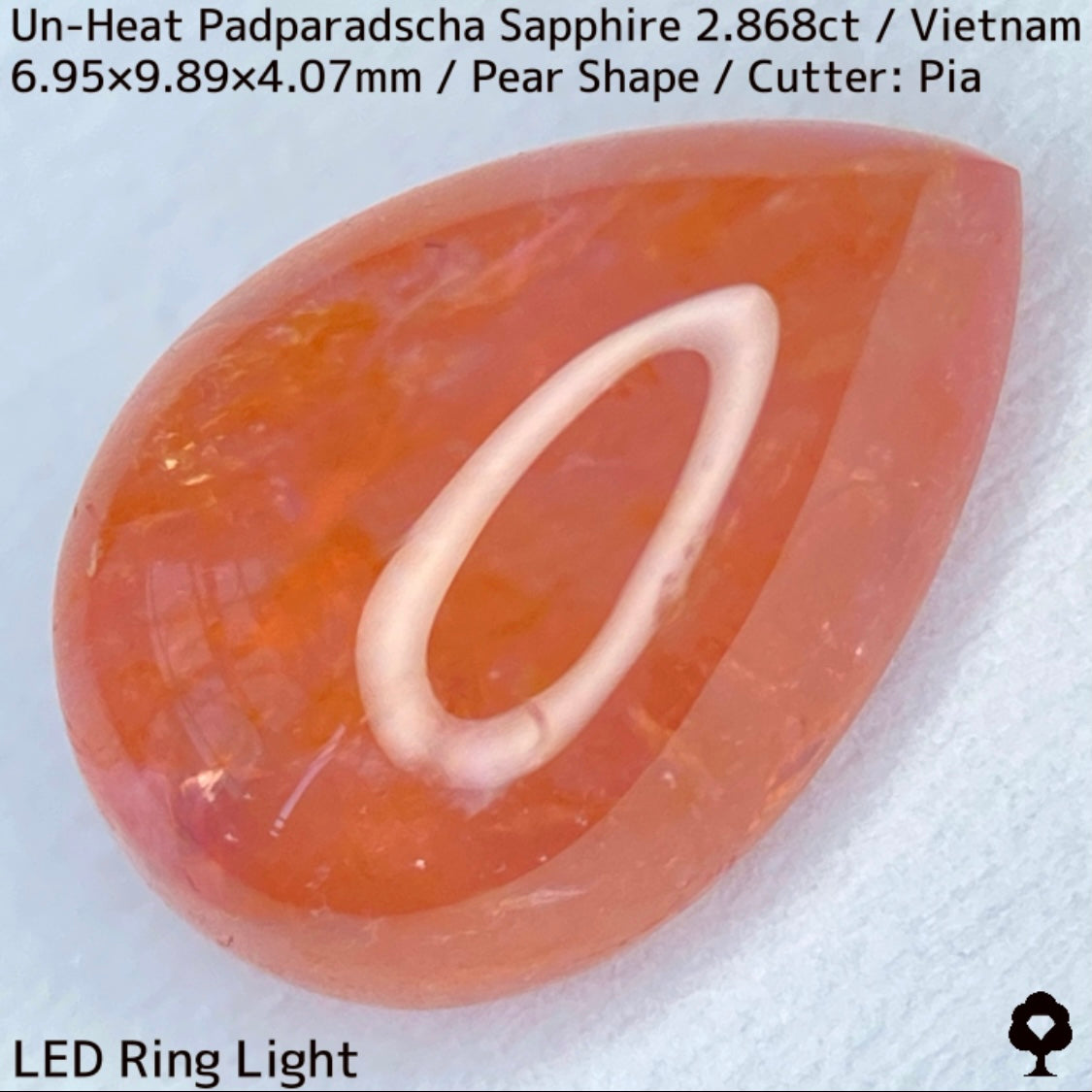 Un-Heat Padparadscha Sapphire 2.868ct / Vietnam