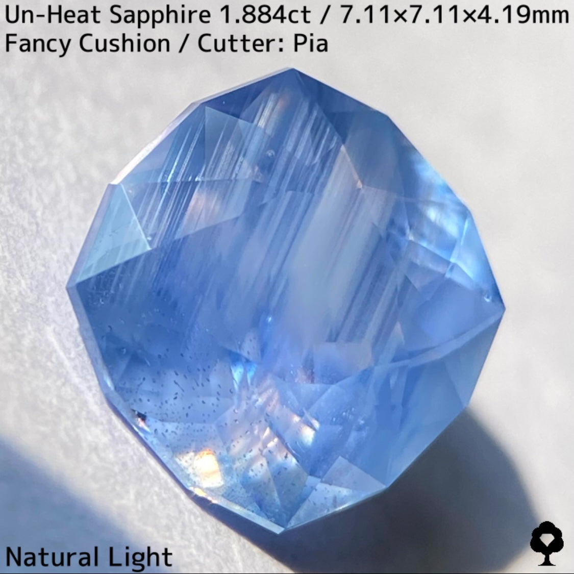 [For the successful bidder only] Unheated sapphire 1.884ct★2024.1.14GTJ Founding Anniversary Chat Auction