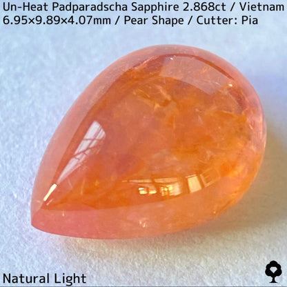 Un-Heat Padparadscha Sapphire 2.868ct / Vietnam