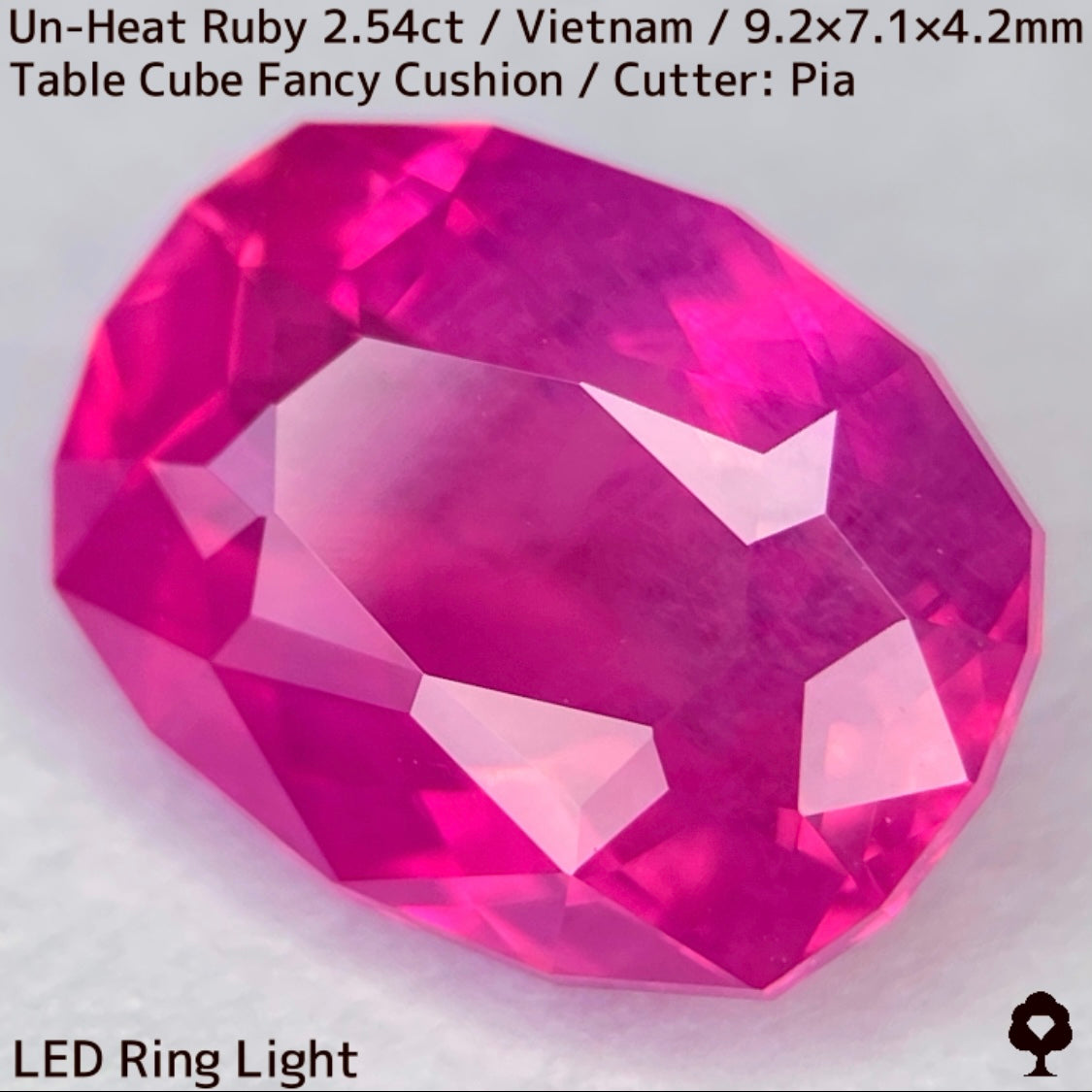 [Ruby Focus] Un-Heat Ruby 2.54ct / Vietnam