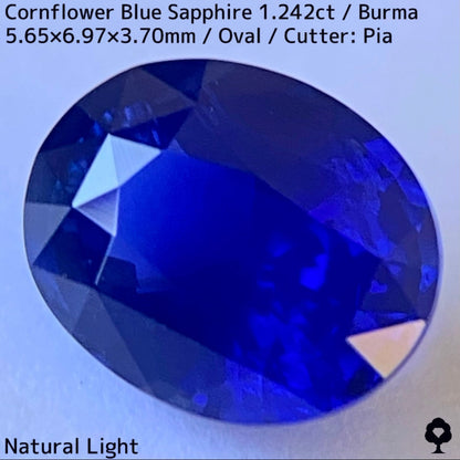 CornFlowerBlue Sapphire 1.242ct / Burma