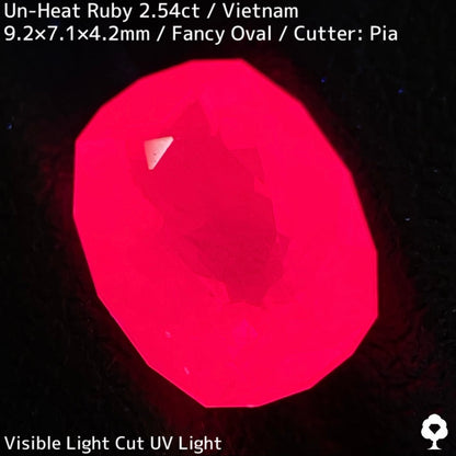 [Ruby Focus] Un-Heat Ruby 2.54ct / Vietnam