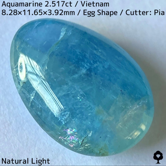 Aquamarine 2.517ct / Vietnam