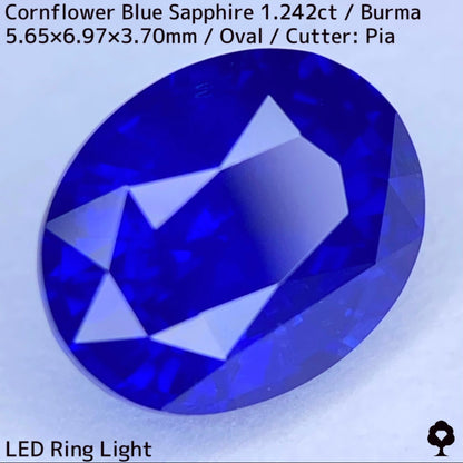 CornFlowerBlue Sapphire 1.242ct / Burma