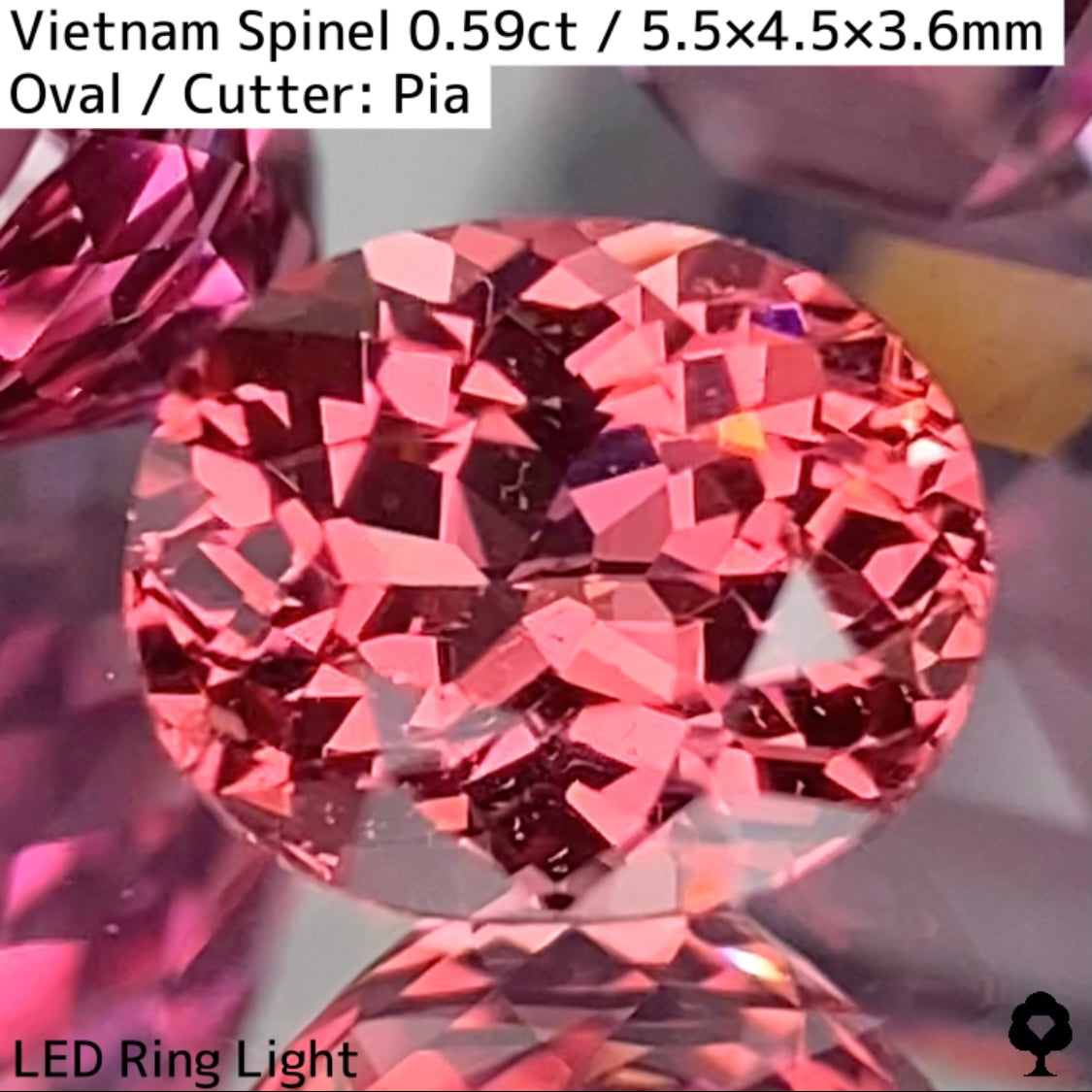 Orange Spinel 0.59ct / Vietnam