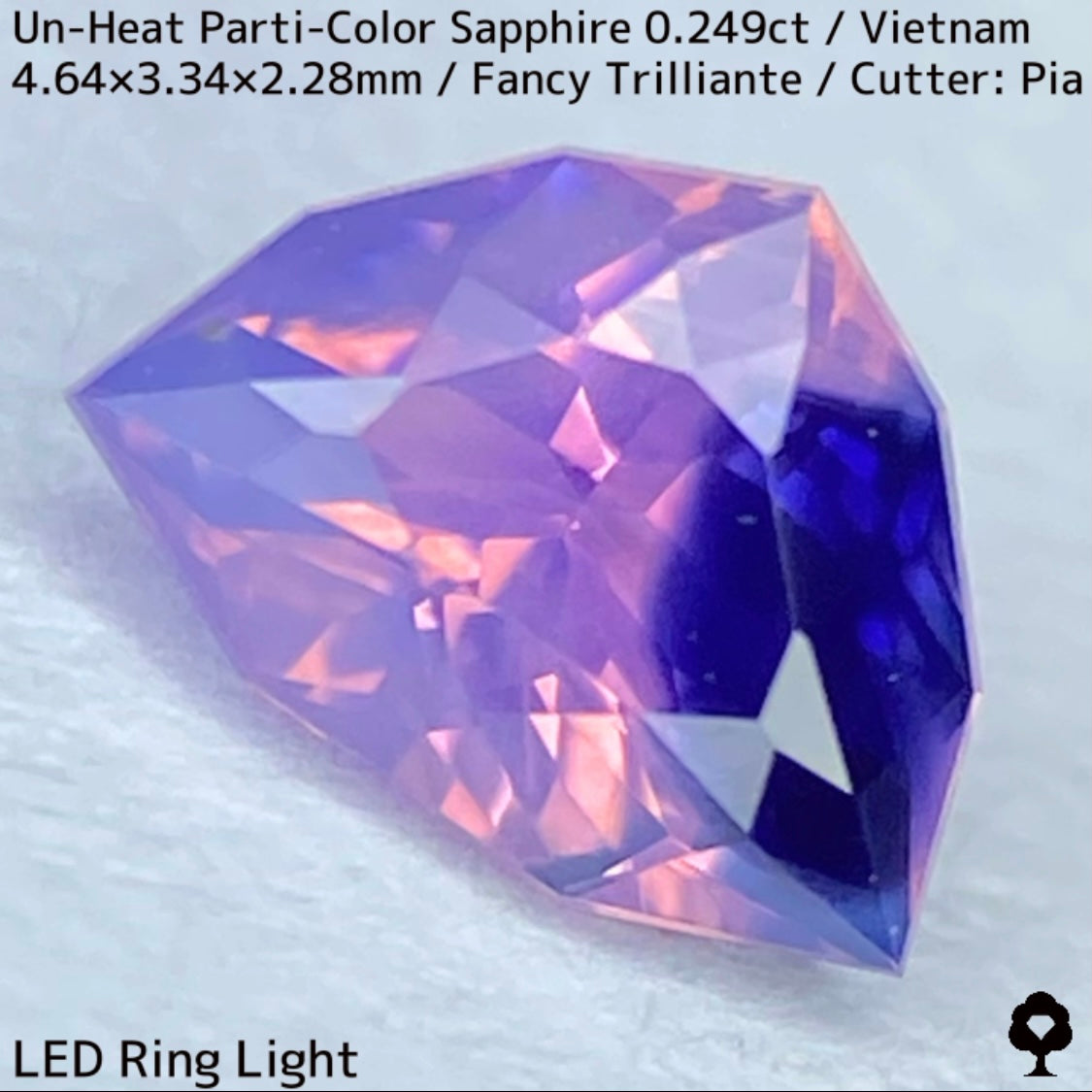 Parti-Color Sapphire 0.249ct / Vietnam