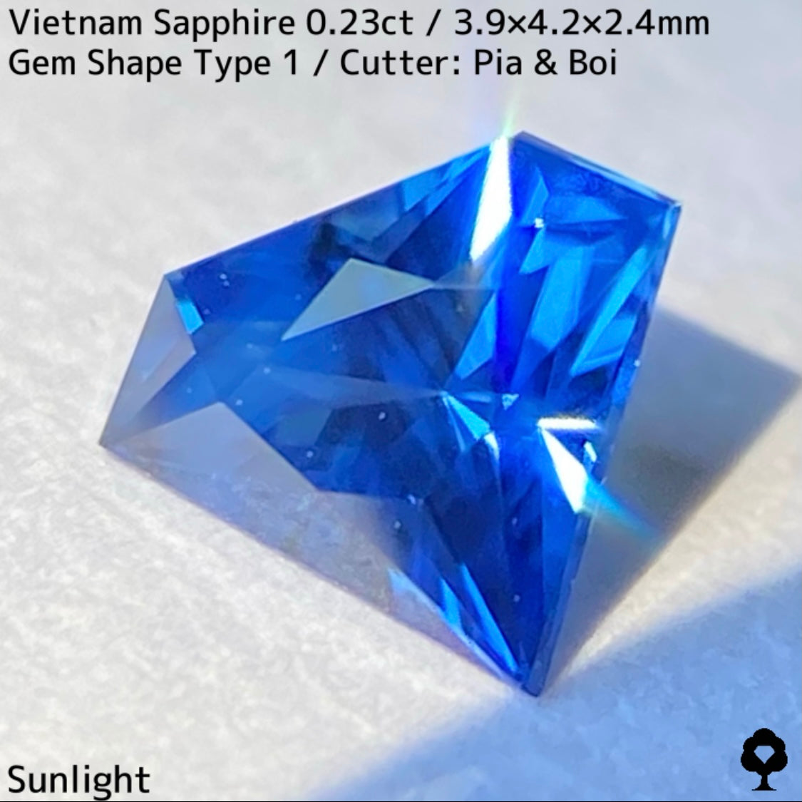 0.23ct Vietnamese sapphire ★ A cute gemstone shape with a well-balanced blue color and silky luster