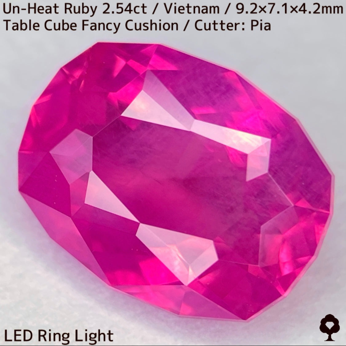 [Ruby Focus] Un-Heat Ruby 2.54ct / Vietnam