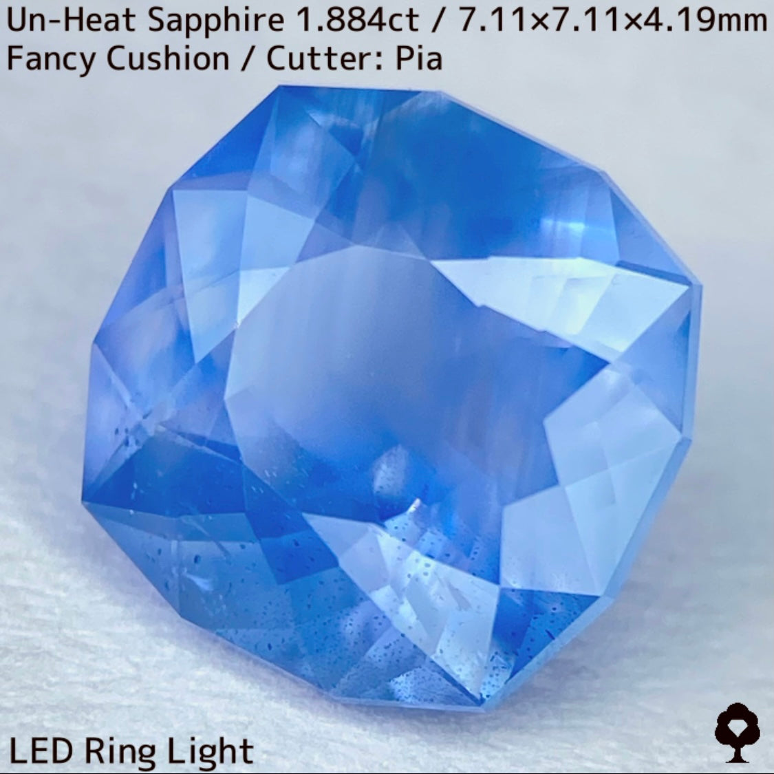 [For the successful bidder only] Unheated sapphire 1.884ct★2024.1.14GTJ Founding Anniversary Chat Auction