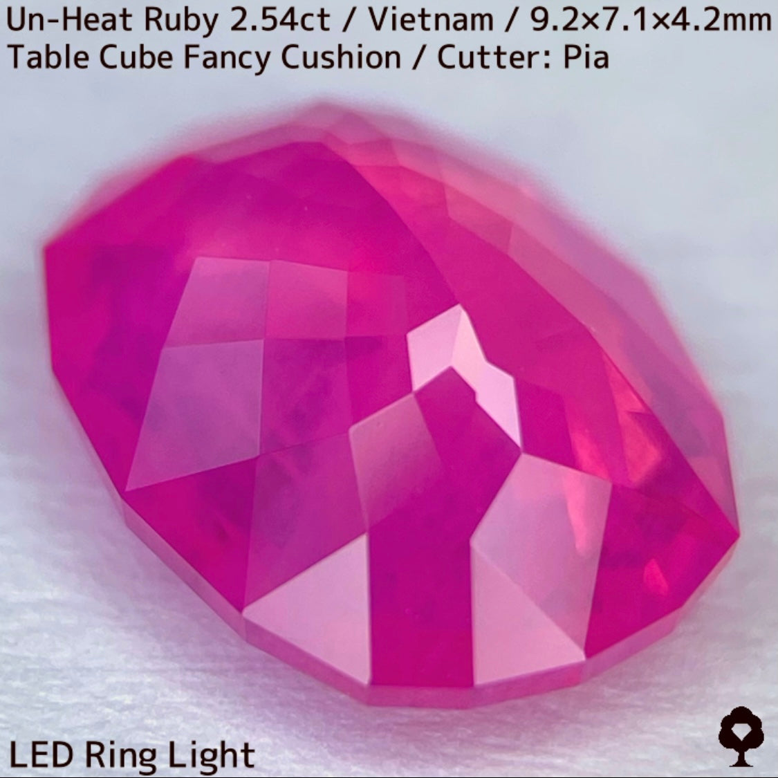 [Ruby Focus] Un-Heat Ruby 2.54ct / Vietnam