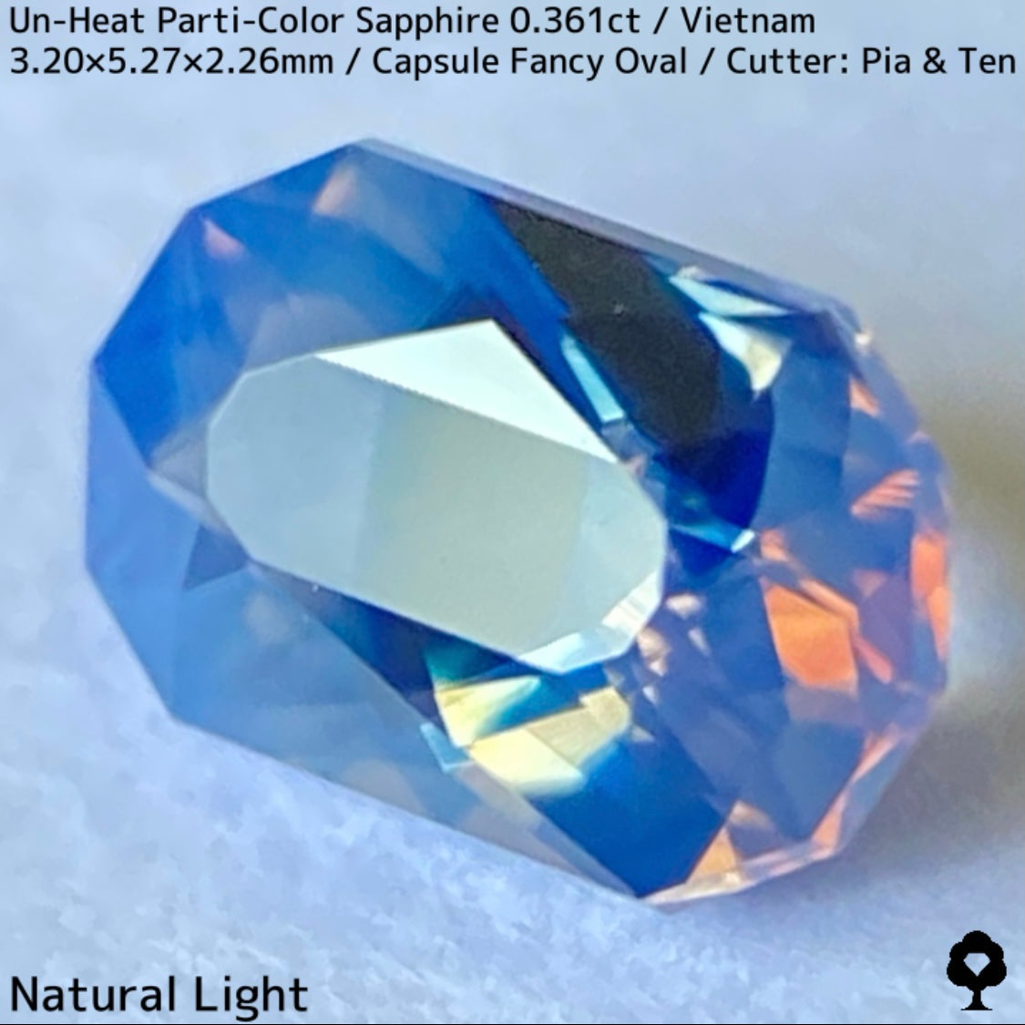 [For the Winner Only] Unheated Parti-Color Sapphire from Vietnam 0.361ct