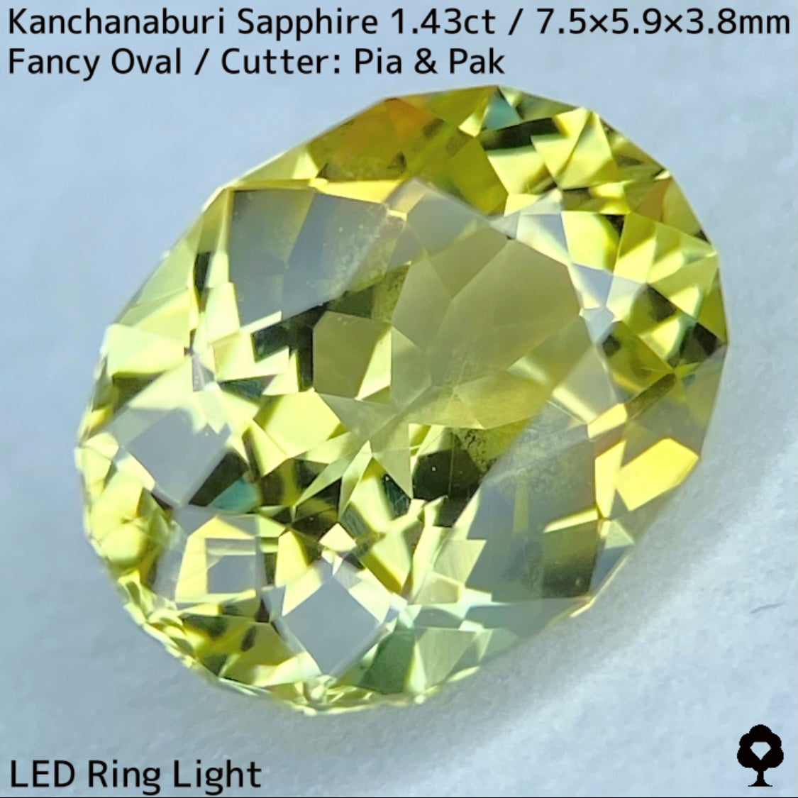 Kanchanaburi Sapphire 1.43ct