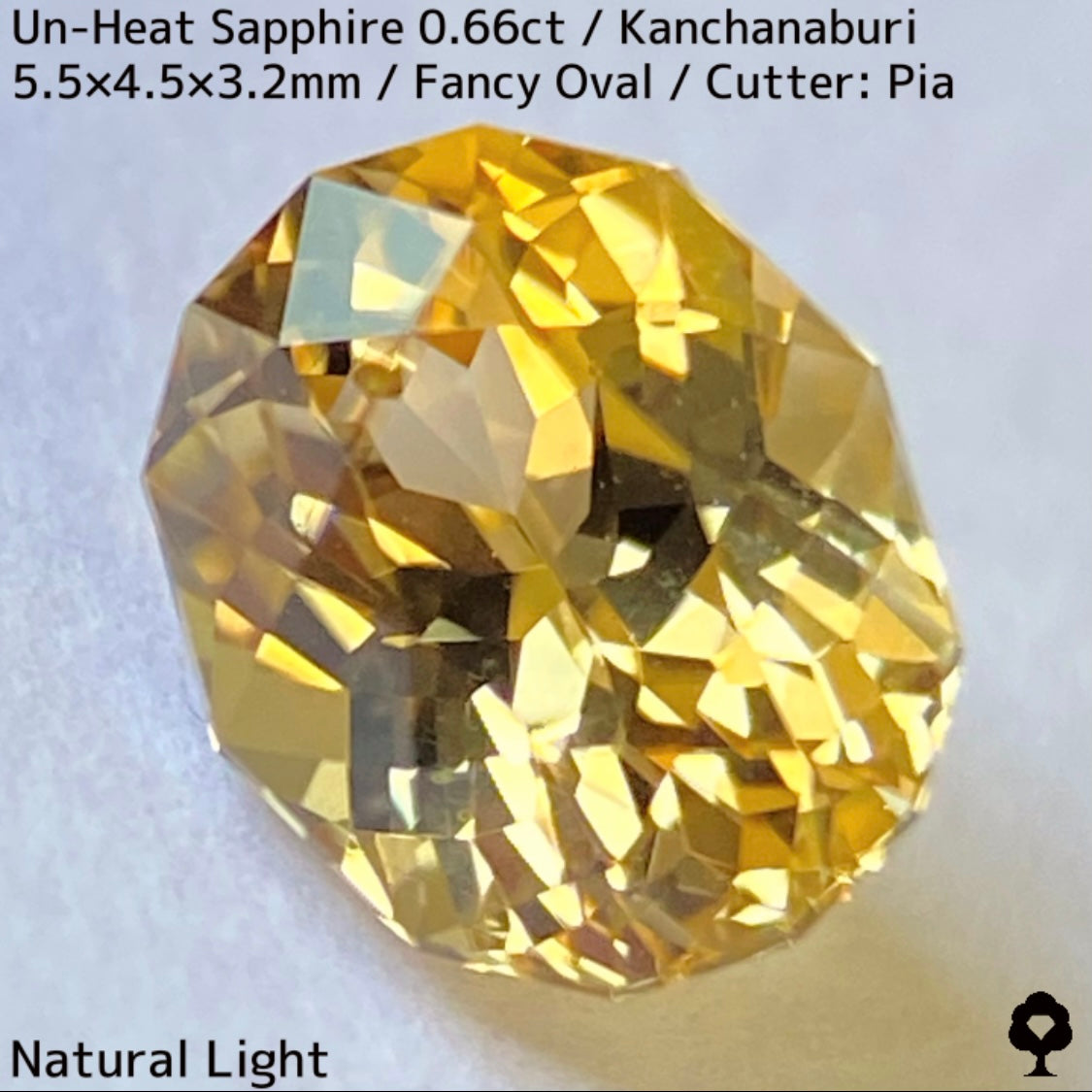 Un-Heat Yellow Sapphire 0.661ct / Kanchanaburi