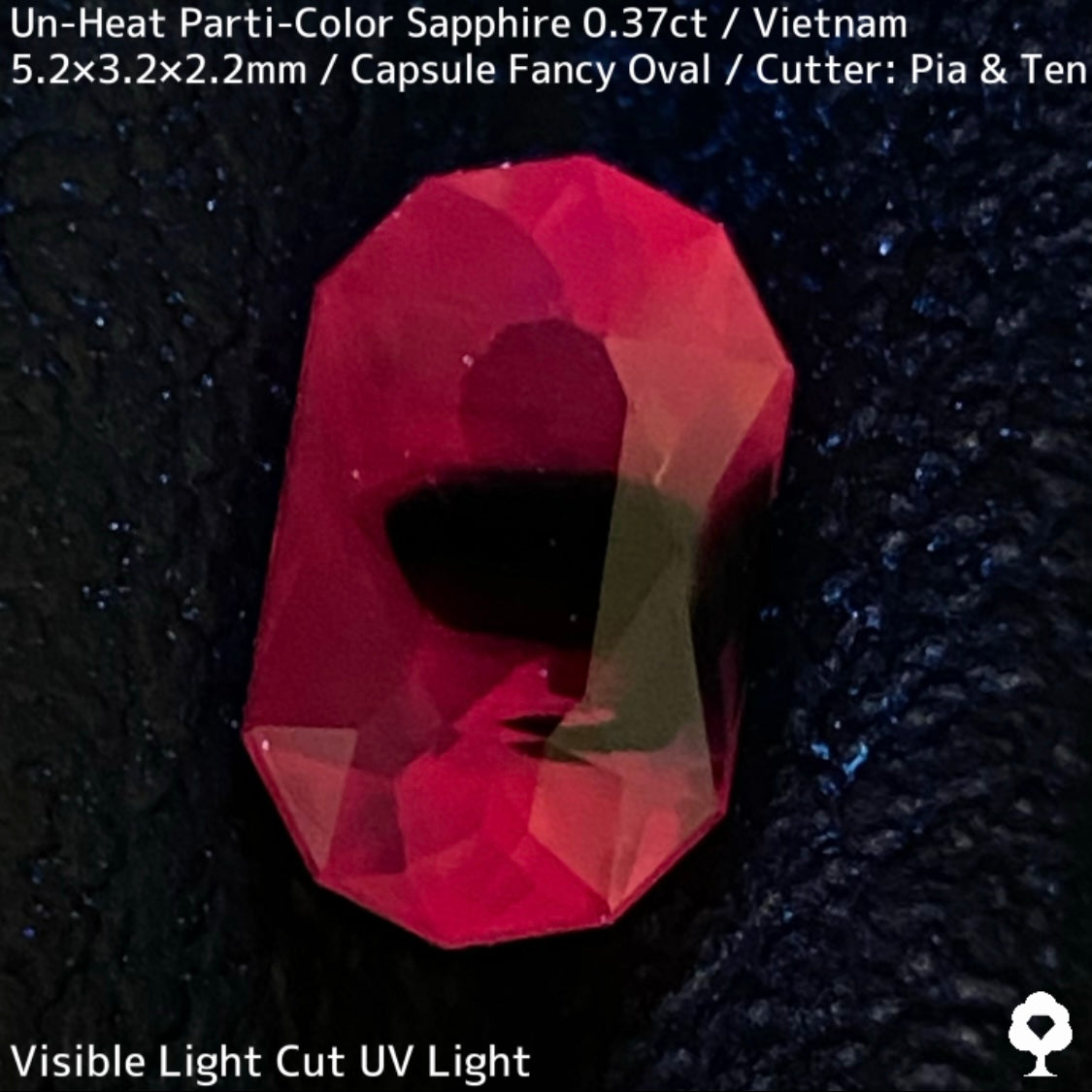 [For the Winner Only] Unheated Parti-Color Sapphire from Vietnam 0.361ct