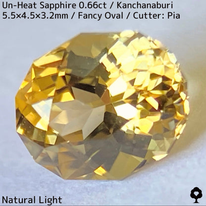 Un-Heat Yellow Sapphire 0.661ct / Kanchanaburi