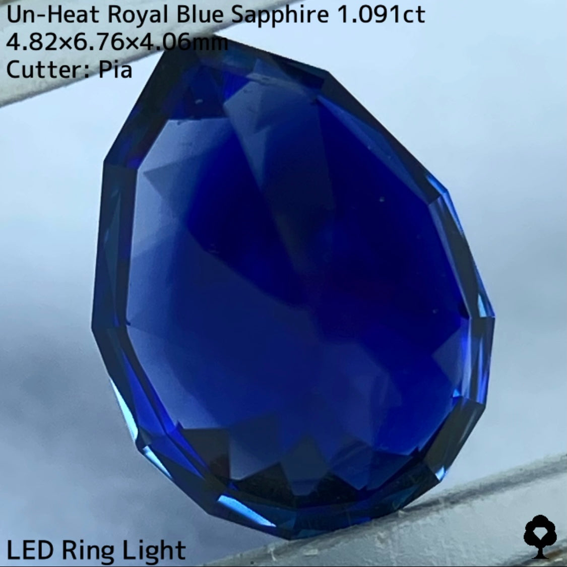 Royal Blue sapphire 1.091ct Sri Lanka IRMO.JP